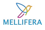 Mellifera